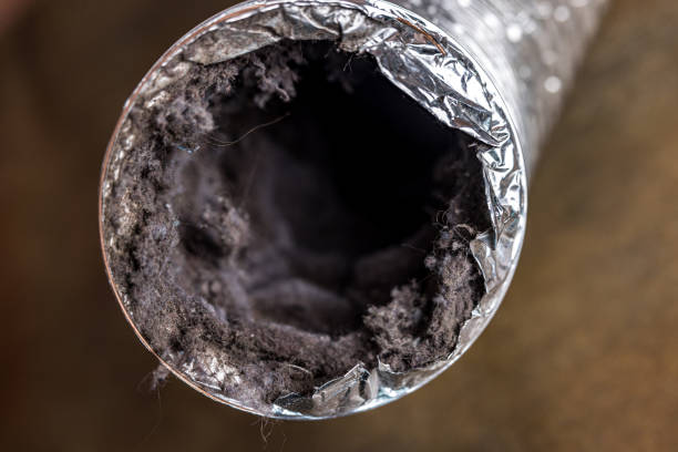 Best HVAC Duct Inspection Services  in Doney Park, AZ